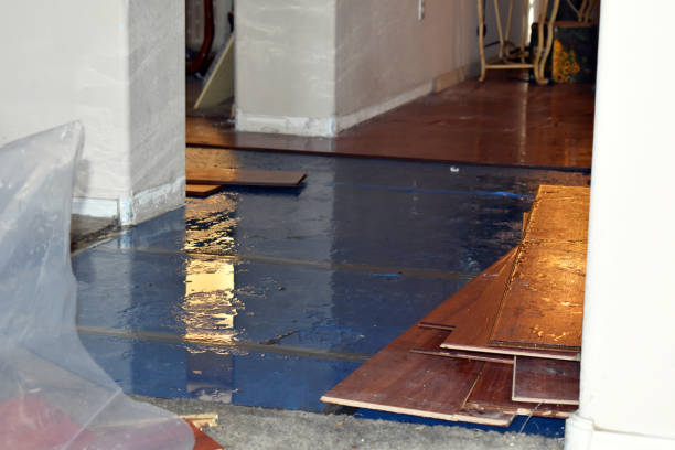 Professional Burst Pipe Cleanup technician working in Patterson, CA